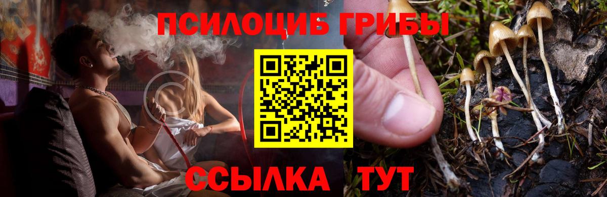 Псилоцибиновые грибы Magic Shrooms  Псилоцибиновые грибы MAGIC MUSHROOMS  Вход с VPN  Алексин 